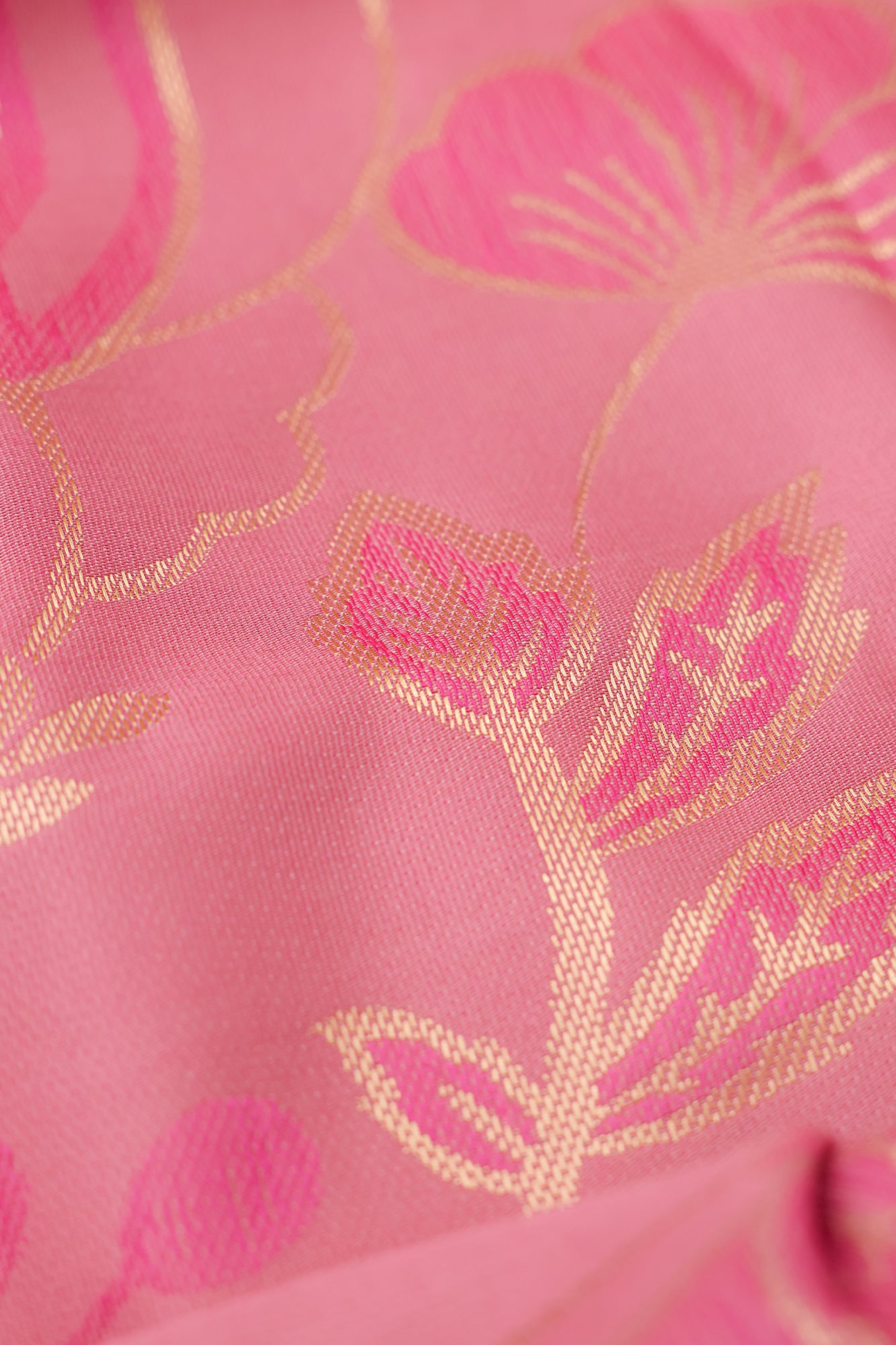 SCARF (E0177/111/412)