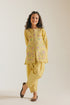 EMBROIDERED SUIT (E1042/402/110 E1042/302/110)