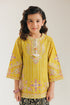EMBROIDERED SUIT (E1347/402/109 E1347/302/109)