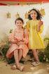 DRESS (E2084/301/326)