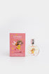 YELLOW FAIRY (E0007/412/412)