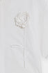 TOP (E0008/120/001)