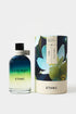 100 ML