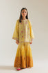 EMBROIDERED SUIT (E0217/415/110 E0217/315/110)