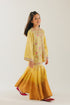 EMBROIDERED SUIT (E0217/415/110 E0217/315/110)