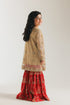 EMBROIDERED SUIT (E0223/415/119 E0223/315/119)