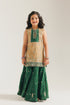 EMBROIDERED SUIT (E0227/415/007 E0227/315/007)