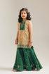 EMBROIDERED SUIT (E0227/415/007 E0227/315/007)