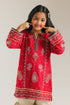 EMBROIDERED SUIT (E0228/415/416 E0228/315/416)