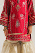 EMBROIDERED SUIT (E0228/415/416 E0228/315/416)