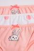 BRIEFS (E0414/411/998)