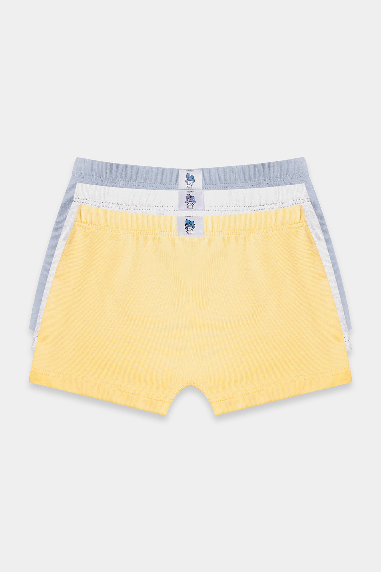 BRIEFS (E0415/411/998)
