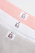 BRIEFS (E0420/411/998)