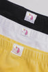 BRIEFS (E0421/411/998)
