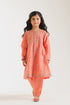 EMBROIDERED SUIT (E0674/404/325 E0674/304/325)