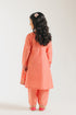 EMBROIDERED SUIT (E0674/404/325 E0674/304/325)