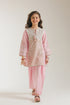 EMBROIDERED SUIT (E0684/404/316 E0684/304/316)