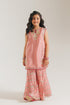 EMBROIDERED SUIT (E0808/404/329 E0808/304/329)
