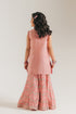 EMBROIDERED SUIT (E0808/404/329 E0808/304/329)