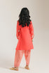 EMBROIDERED SUIT (E0845/404/311 E0845/304/311)
