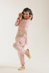 EMBROIDERED SUIT (E1044/402/315 E1044/302/315)