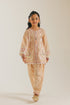 EMBROIDERED SUIT (E1052/402/808 E1052/302/808)