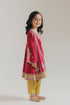 EMBROIDERED SUIT (E1054/404/416 E1054/304/416)