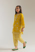 EMBROIDERED SUIT (E1057/402/101 E1057/302/101)