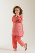 EMBROIDERED SUIT (E1064/402/312 E1064/302/312)
