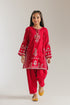 EMBROIDERED SUIT (E1070/402/308 E1070/302/308)