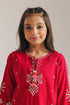 EMBROIDERED SUIT (E1070/402/308 E1070/302/308)