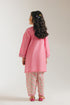 EMBROIDERED SUIT (E1199/402/426 E1199/302/426)