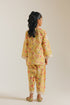 EMBROIDERED SUIT (E1200/402/101 E1200/302/101)