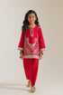 EMBROIDERED SUIT (E1208/402/306 E1208/302/306)
