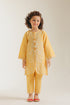 EMBROIDERED SUIT (E1210/402/109 E1210/302/109)