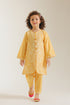 EMBROIDERED SUIT (E1210/402/109 E1210/302/109)