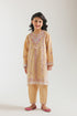 EMBROIDERED SUIT (E1212/402/225 E1212/302/225)
