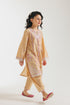 EMBROIDERED SUIT (E1212/402/225 E1212/302/225)