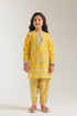 EMBROIDERED SUIT (E1225/402/106 E1225/302/106)