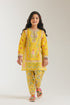 EMBROIDERED SUIT (E1225/402/106 E1225/302/106)