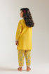 EMBROIDERED SUIT (E1225/402/106 E1225/302/106)