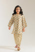 EMBROIDERED SUIT (E1331/402/112 E1331/302/112)