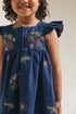 DRESS (E1417/301/620)