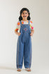 JUMPSUIT (E1454/401/625)