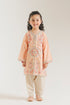 EMBROIDERED SUIT (E1525/402/214 E1525/302/214)