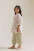 EMBROIDERED SUIT (E1706/402/427 E1706/302/427)