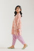 EMBROIDERED SUIT (E1707/402/214 E1707/302/214)