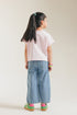 TOP (E1798/301/529)
