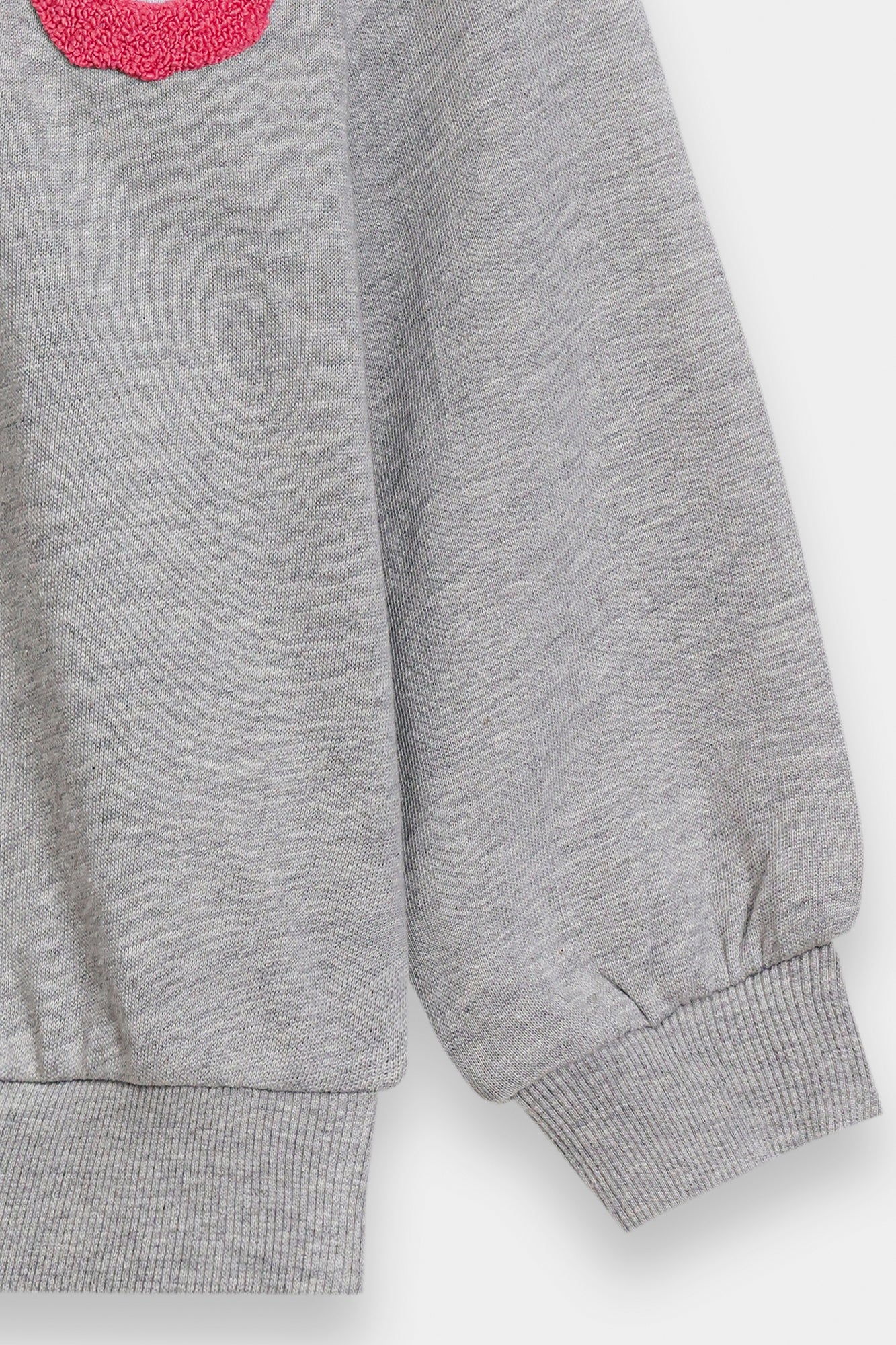 SWEAT SHIRT (E1810/301/915)