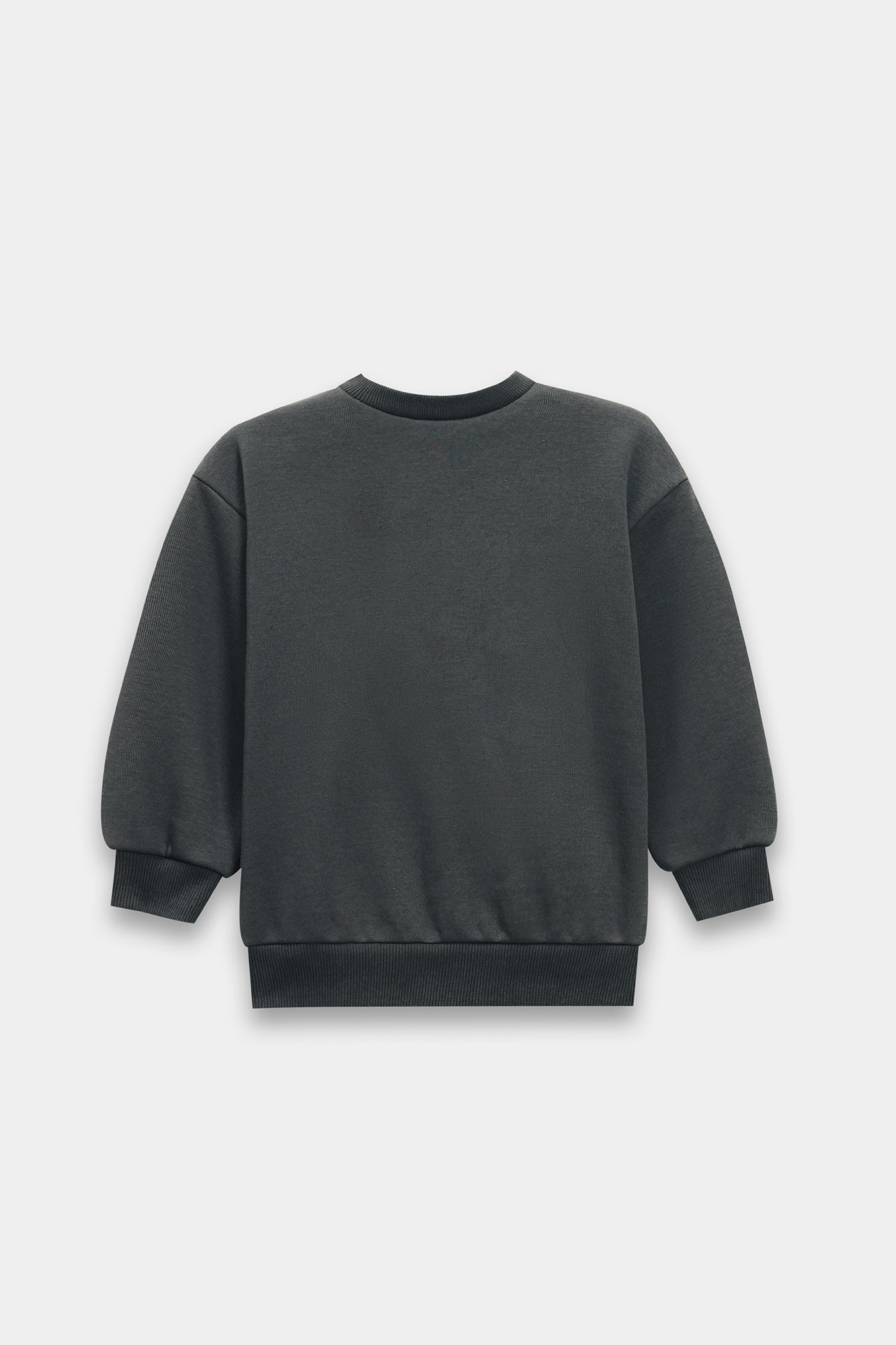 SWEATSHIRT (E1811/301/904)